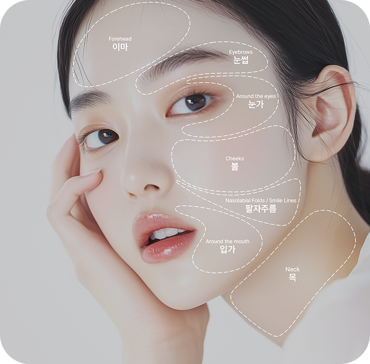 額、眉、目元、頬、ほうれい線、口元、首などソフウェーブの施術部位を示した女性の顔